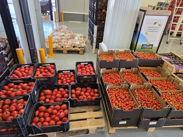 Cajas de tomates en Mercatenerife