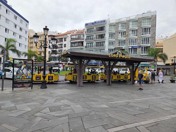 Tren de Loro Parque Tren turístico amarillo de Loro Parque esperando pasajeros en el centro de Puerto de la Cruz.