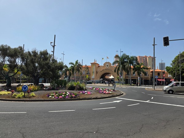 Nuestra Señora de África Entrada principal del mercado Nuestra Señora de África en Santa Cruz, rodeada de palmeras y una rotonda florida.